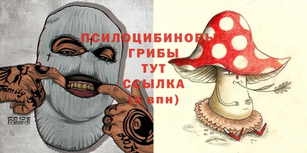MDMA Premium VHQ Белокуриха