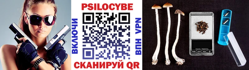 Псилоцибиновые грибы Cubensis  Бердск 