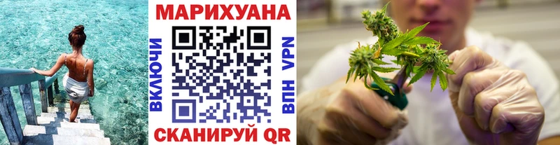 МАРИХУАНА MAZAR  купить наркотики цена  Бердск 